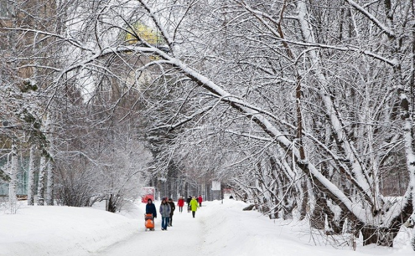 Плавно уходим в минус: когда наступит зима 2020 в Новосибирске