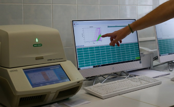 Как делают ПЦР-анализ на коронавирус: показываем все стадии