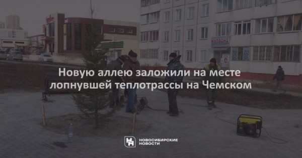 Новую аллею заложили на&nbsp;месте лопнувшей теплотрассы на&nbsp;Чемском