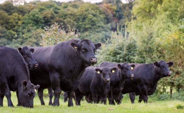 Человек ищет, где лучше