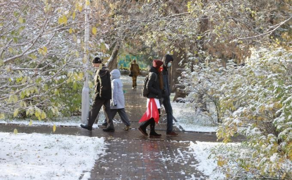 Ученые назвали категорию людей, в пять раз реже болеющих ковидом Ученые назвали категорию людей, в пять раз реже болеющих ковидом