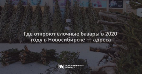 Где откроют ёлочные базары в 2020 году в Новосибирске — адреса Где откроют ёлочные базары в 2020 году в Новосибирске — адреса
