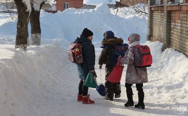 Школьные каникулы в Новосибирской области продлены на неделю