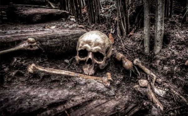 Скелет обнаружил рядом с домом житель ОбьГЭСа Скелет обнаружил рядом с домом житель ОбьГЭСа