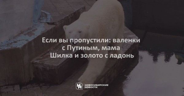 Если вы&nbsp;пропустили: валенки с&nbsp;Путиным, мама Шилка и&nbsp;золото с&nbsp;ладонь