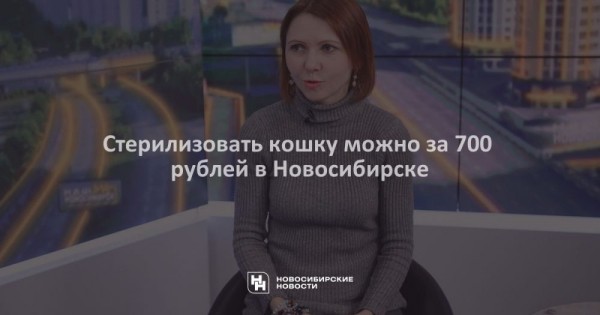 Стерилизовать кошку можно за&nbsp;700 рублей в&nbsp;Новосибирске