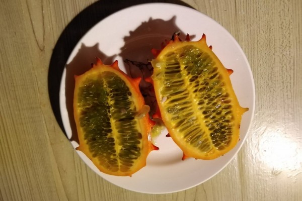 Африканские рогатые огурцы вырастил на&nbsp;своём огороде новосибирец