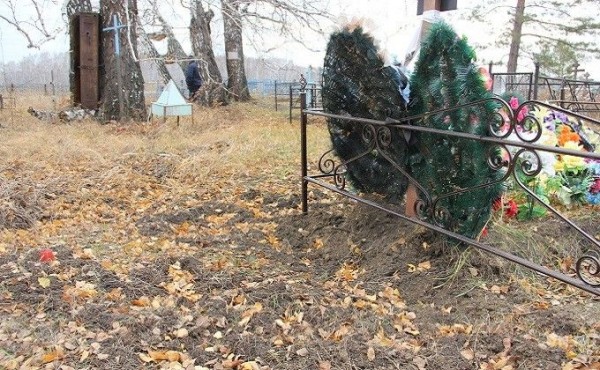 Свиней обвинили в кладбищенском вандализме в Доволенском районе