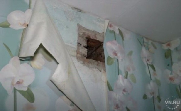 Сироту поселили в квартиру с плесенью и текущей крышей в Черепаново