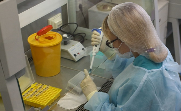 Как делают ПЦР-анализ на коронавирус: показываем все стадии