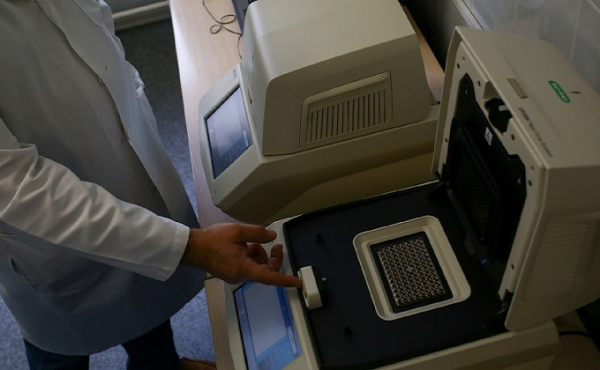 Как делают ПЦР-анализ на коронавирус: показываем все стадии