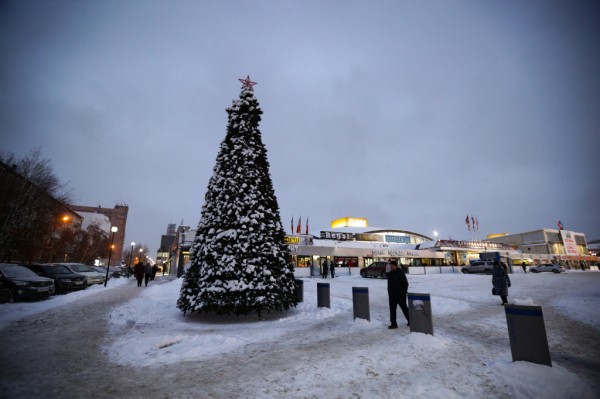 На&nbsp;площади перед ГПНТБ установят новую 14-метровую искусственную ель
