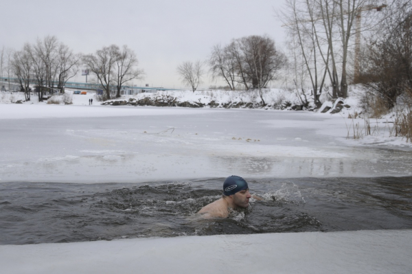 Моржи открыли зимний сезон купания в Новосибирске Моржи открыли зимний сезон купания в Новосибирске
