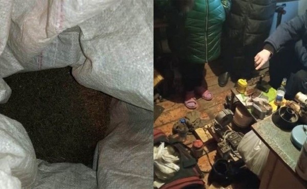 На 10 лет рискует сесть в тюрьму молодой собиратель марихуаны