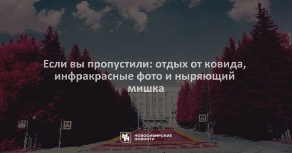 Если вы&nbsp;пропустили: отдых от&nbsp;ковида, инфракрасные фото и&nbsp;ныряющий мишка