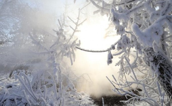 Завалит снегом: прогноз погоды на неделю 7-13 декабря в Новосибирске Завалит снегом: прогноз погоды на неделю 7-13 декабря в Новосибирске