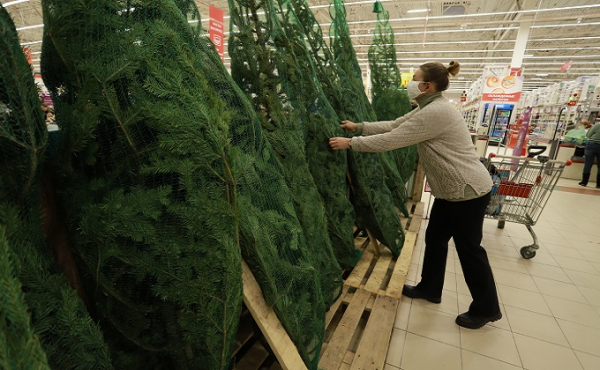 Первые елочные базары-2021 открыли в Новосибирске