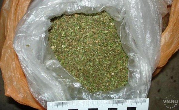 Килограмм кыштовской травки изъяли силовики у местного жителя