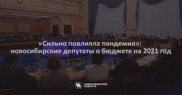 &laquo;Сильно повлияла пандемия&raquo;: новосибирские депутаты о&nbsp;бюджете на&nbsp;2021 год
