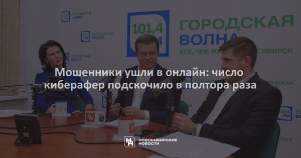 Мошенники ушли в&nbsp;онлайн: число киберафер подскочило в&nbsp;полтора раза