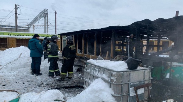 Сгоревший приют для бездомных животных просит помощи новосибирцев