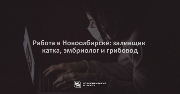 Работа в&nbsp;Новосибирске: заливщик катка, эмбриолог и&nbsp;грибовод