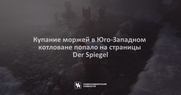 Купание моржей в&nbsp;Юго-Западном котловане попало на&nbsp;страницы Der Spiegel