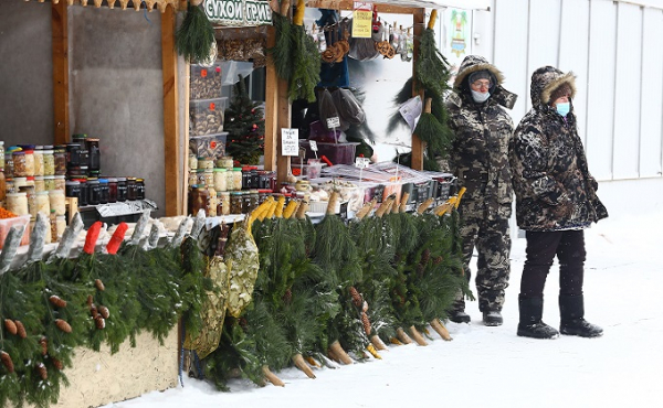 Первые елочные базары-2021 открыли в Новосибирске