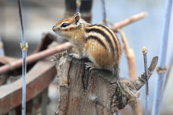 Афиша выходных: концерт с&nbsp;шоором, кикер и&nbsp;турнир по&nbsp;арчери тагу