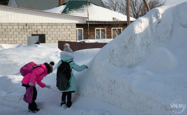 Детские выплаты безработным хотят продлить в 2021 году в Новосибирской области