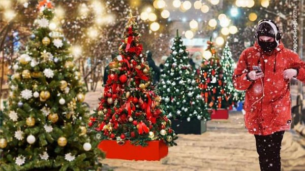 Когда установят новогоднюю ёлку перед Оперным, рассказали в мэрии Новосибирска