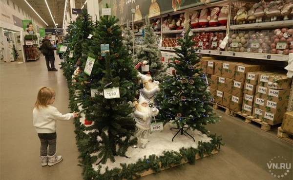 Двойные выплаты на детей получат родители в декабре 2020 в Новосибирске