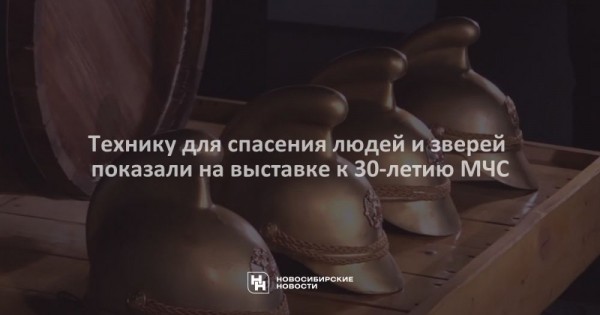 Технику для спасения людей и&nbsp;зверей показали на&nbsp;выставке к&nbsp;30-летию МЧС