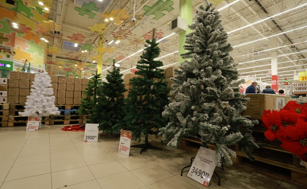 Первые елочные базары-2021 открыли в Новосибирске