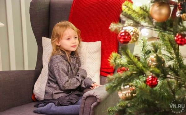 Новые выплаты после выступления Путина 17 декабря: полный список