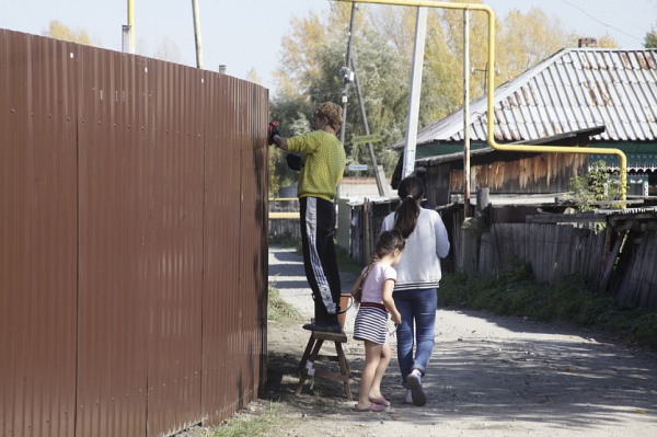 Лучшие фоторепортажи «Новосибирских новостей» за 2020 год