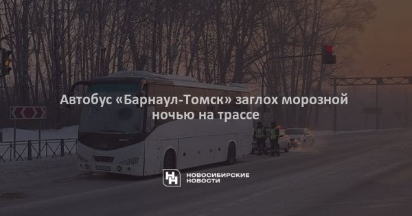 Автобус &laquo;Барнаул-Томск&raquo; заглох морозной ночью на трассе