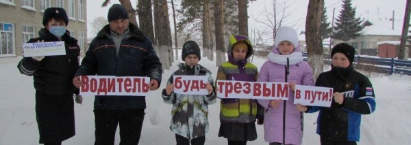 В Новосибирской области сотрудники Госавтоинспекции призвали водителей к трезвому вождению
