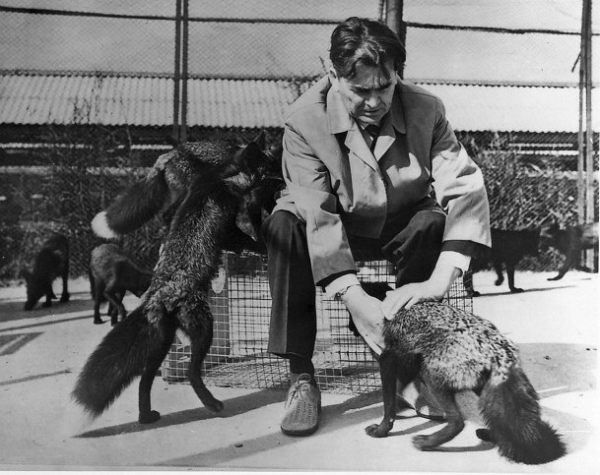 Топ открытий ученых новосибирского Академгородка