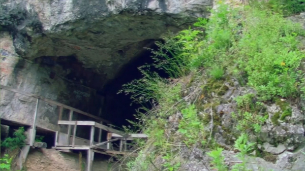 Топ открытий ученых новосибирского Академгородка