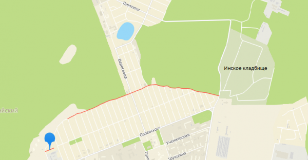 Изгнание бесов в Первомайке: кресты в лесу напугали людей