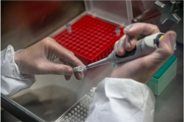 Гены преступников и талантов ищут у новосибирских школьников с помощью теста ДНК