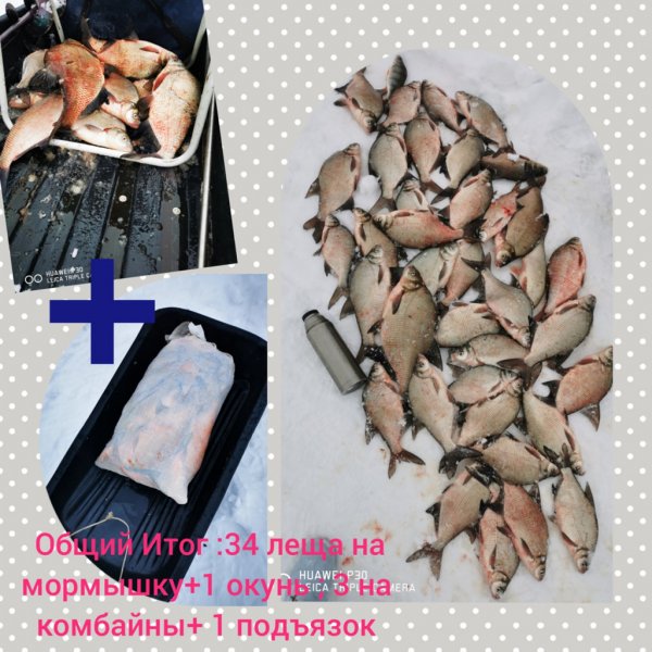 30 кг рыбы за 2 часа наловила красавица из Искитима