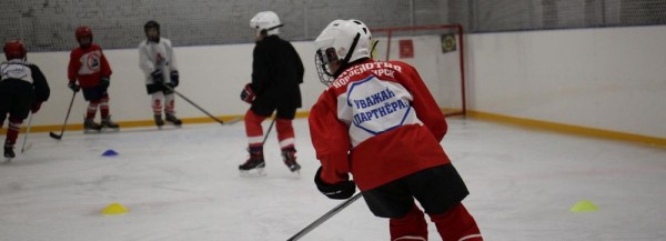 Итоги 2020&nbsp;года: каких успехов добились новосибирские спортсмены