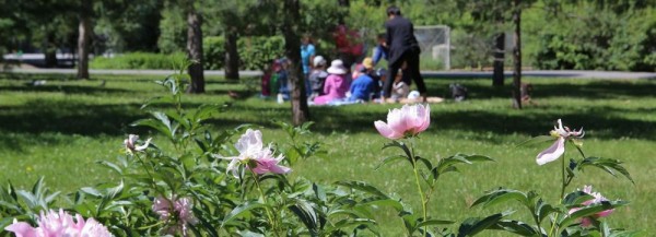 Сквер на&nbsp;Демакова: как преобразится пустырь этим летом