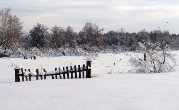 Когда наступит весна: противоречивый март в Новосибирске