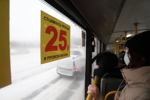 Запрет на высадку безбилетных детей: мнение экспертов      