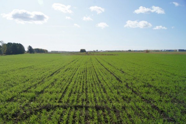 Травников потребовал взять курс на эффективность сельхозпроизводства