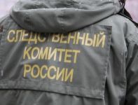 В Новосибирской области по сообщениям в СМИ возбуждено уголовное дело о совершении в сети Интернет развратных действий в отношении подростка