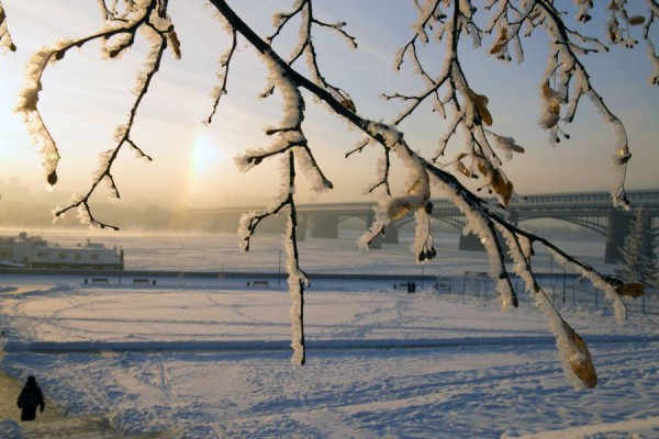 Оттепель придёт в Новосибирск накануне выходных Оттепель придёт в Новосибирск накануне выходных